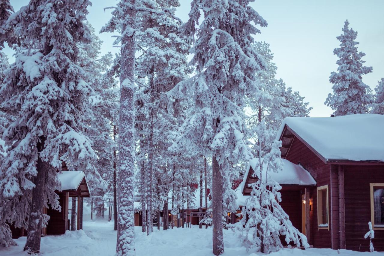 Torassieppi Cottages Pallastunturi Exterior photo